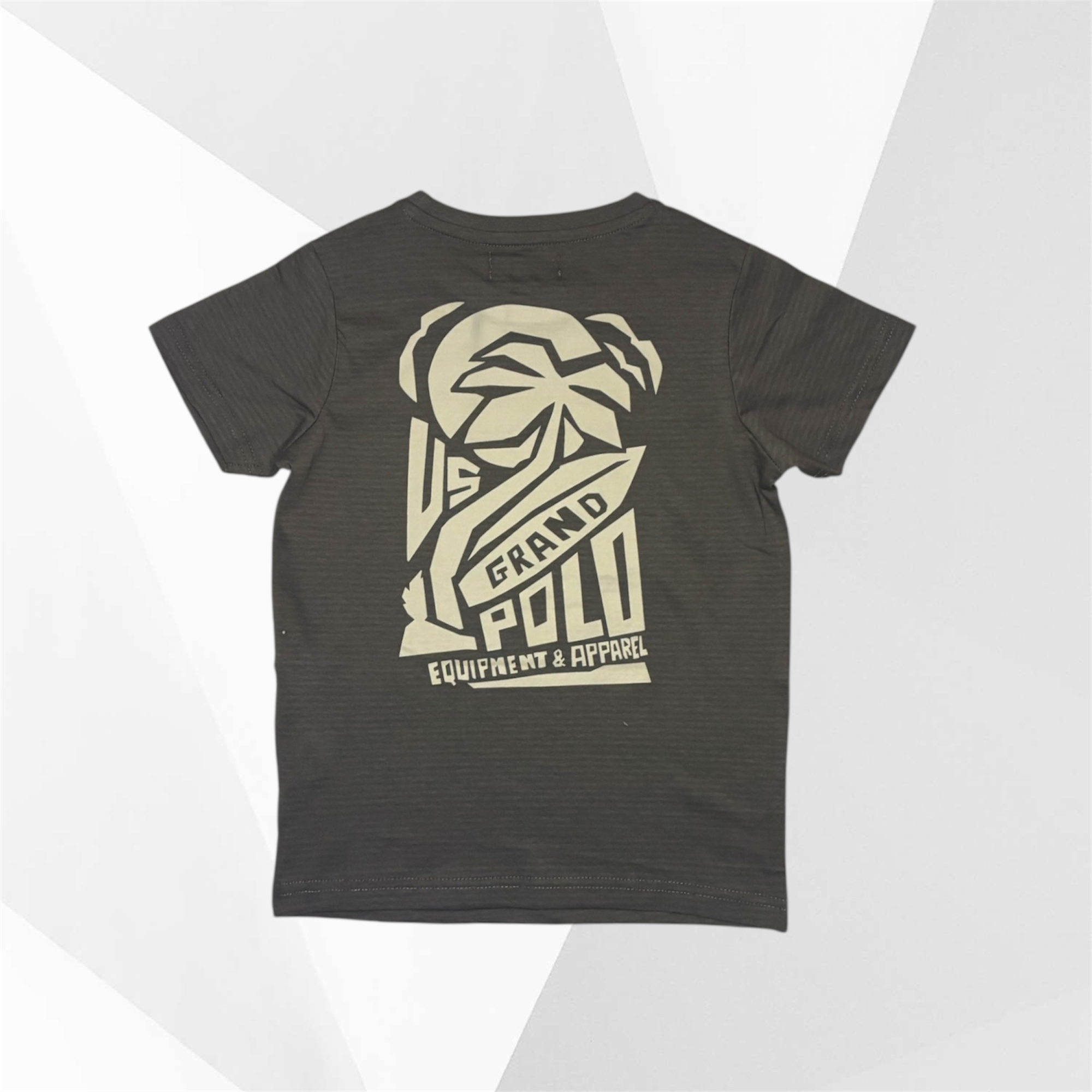 T-SHIRT M/MANICA
